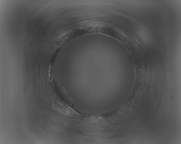 X0000051881013200506241408