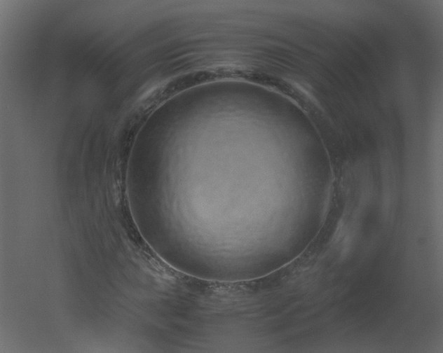 X0000051881015200506241408