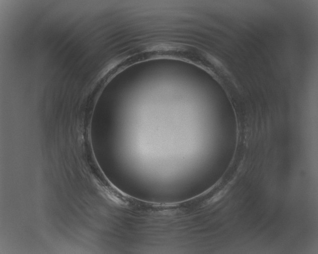 X0000051881017200506241408