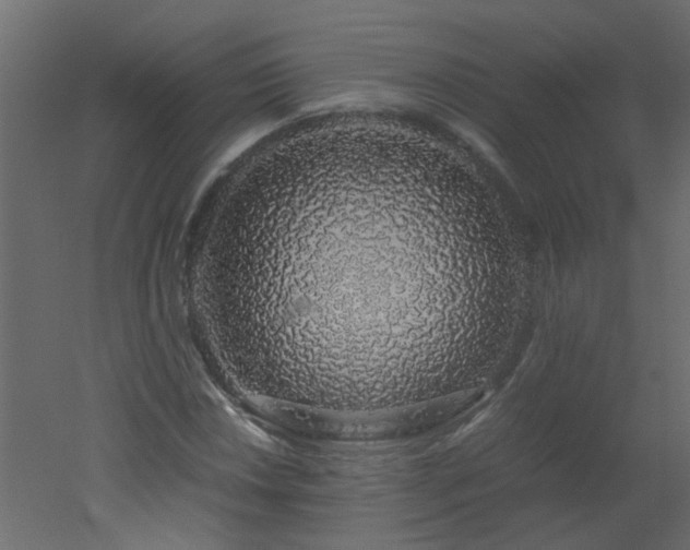 X0000051881018200506241408