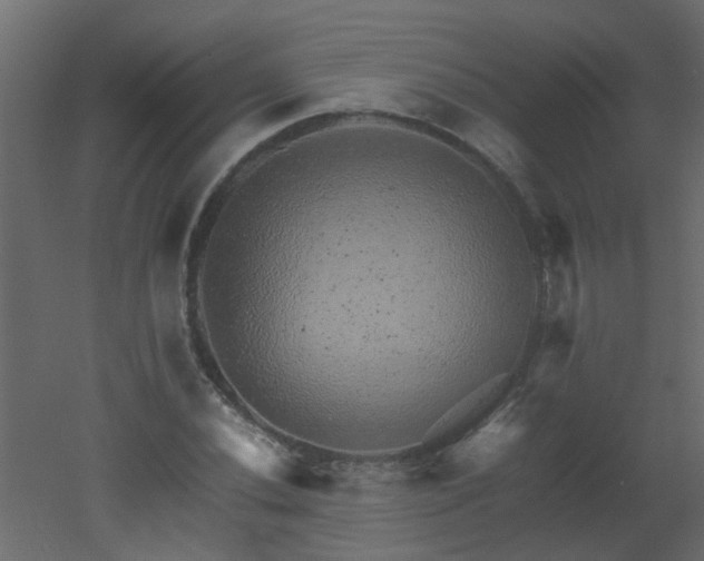 X0000051881020200506241408