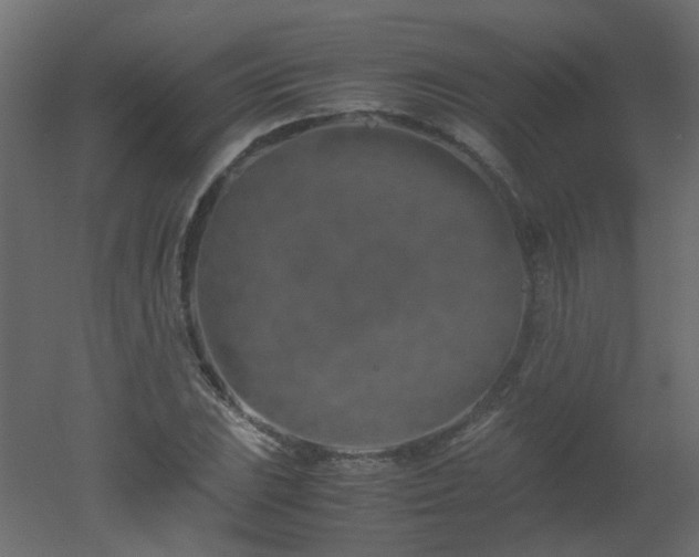 X0000051881023200506241408