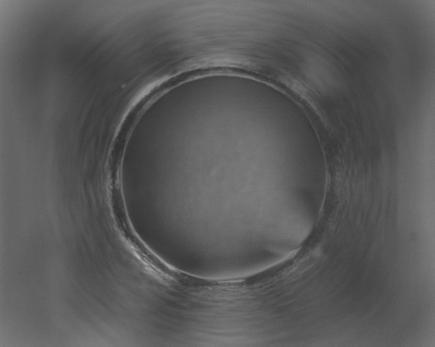 X0000051881024200506241408