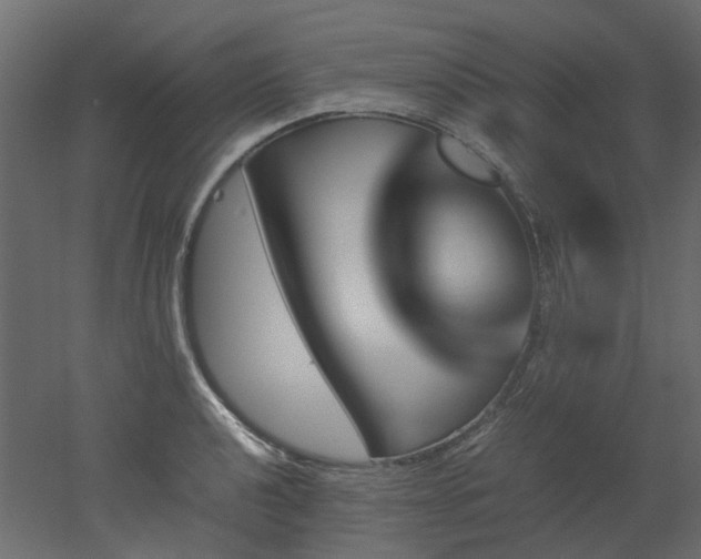 X0000051881040200506241408