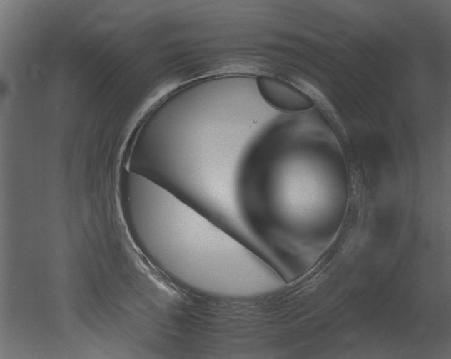 X0000051881043200506241408