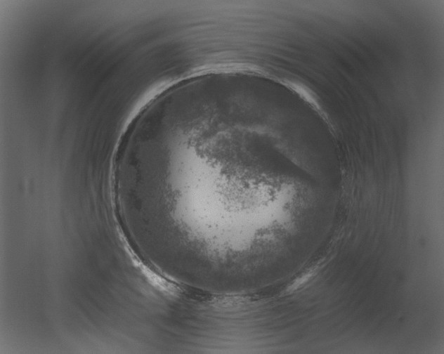 X0000051881046200506241408
