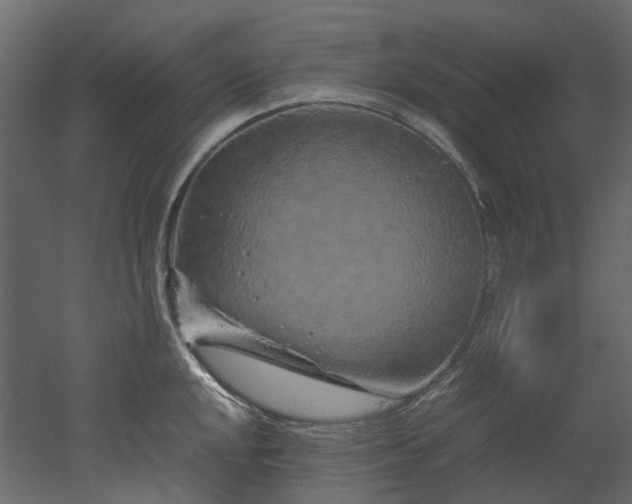 X0000051881048200506241408