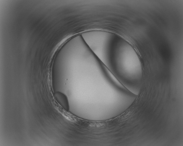 X0000051881051200506241408