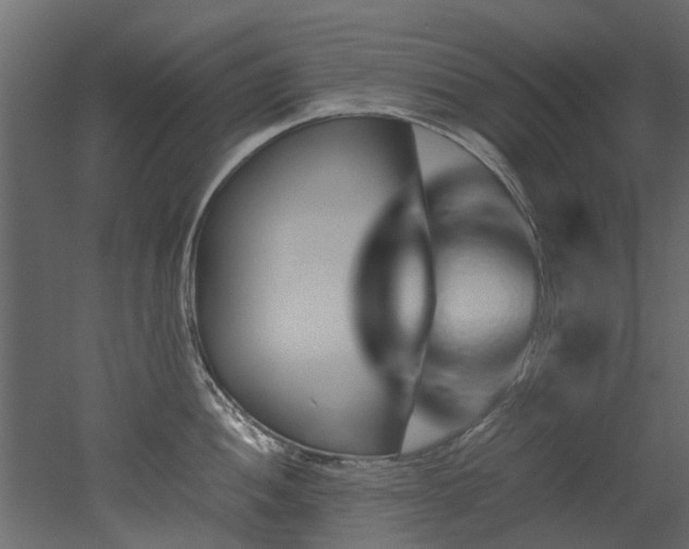 X0000051881052200506241408