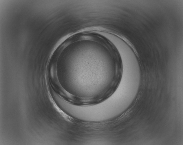 X0000051881054200506241408