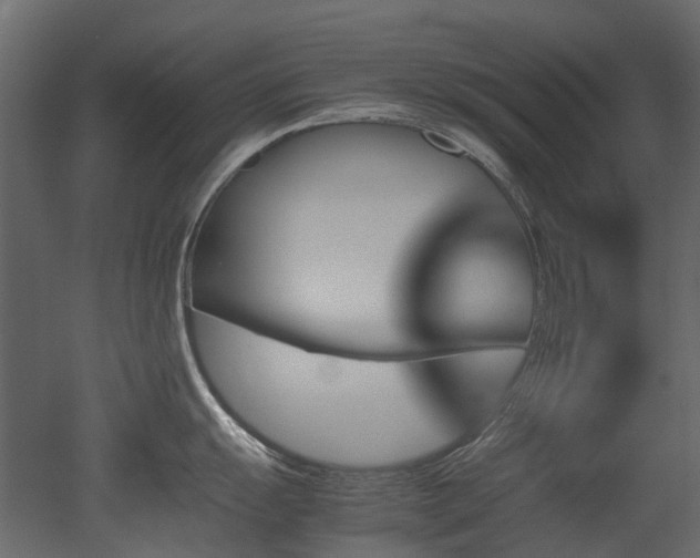 X0000051881055200506241408
