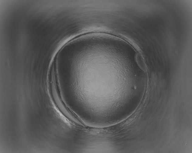 X0000051881056200506241408