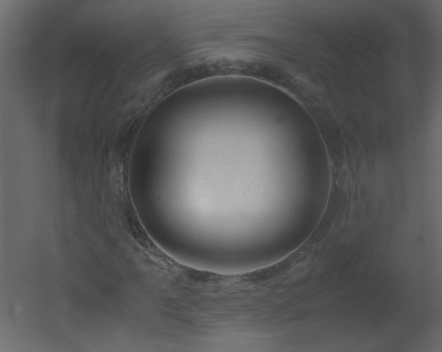 X0000051881061200506241407