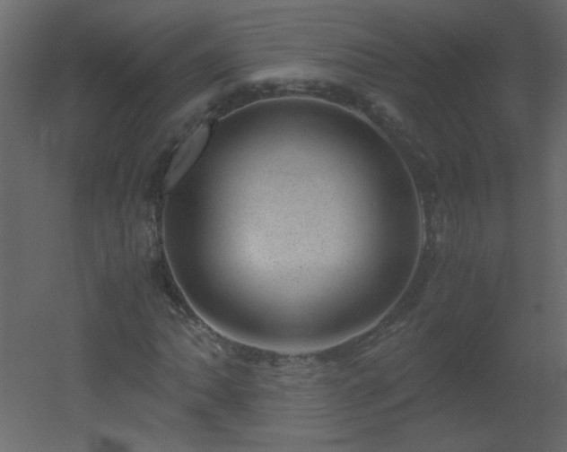 X0000051881062200506241407