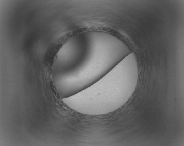 X0000051881063200506241407