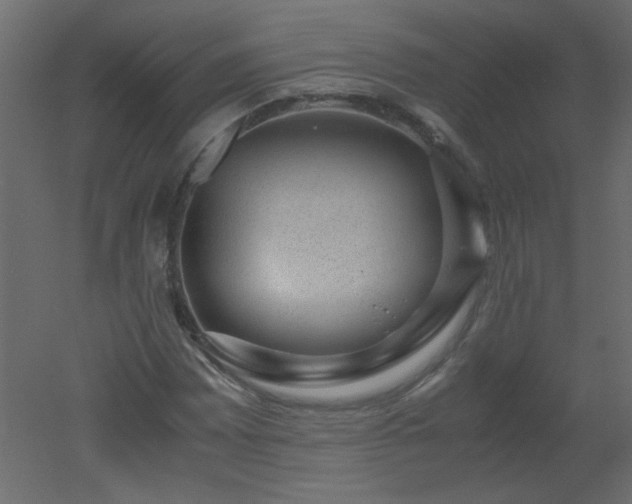 X0000051881065200506241407