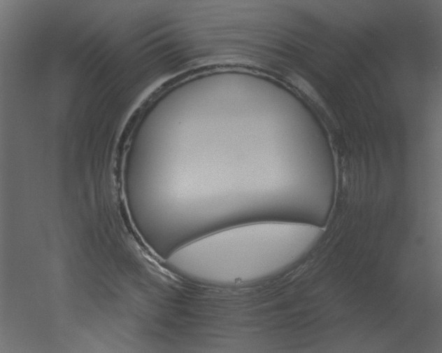 X0000051881068200506241407