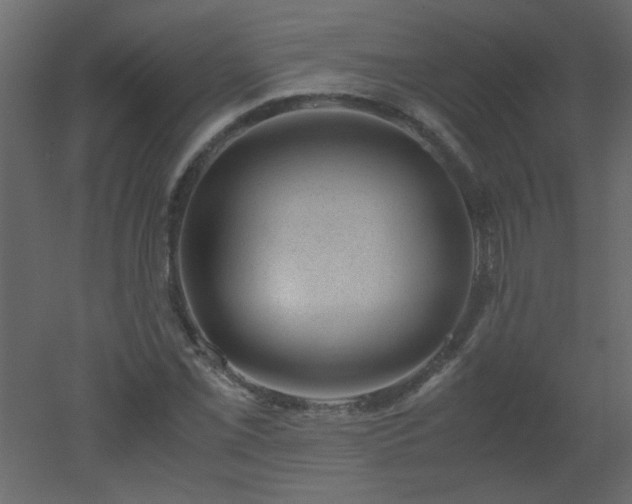 X0000051881069200506241407