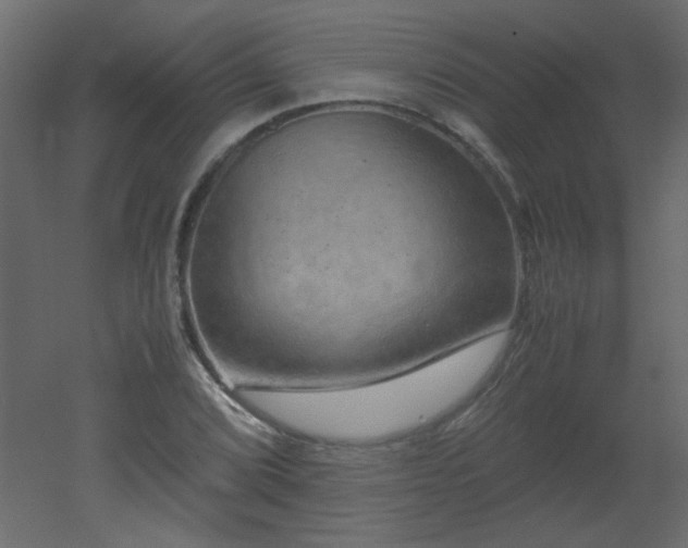 X0000051881072200506241407