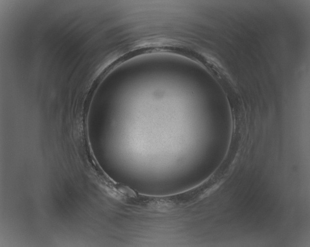 X0000051881073200506241407