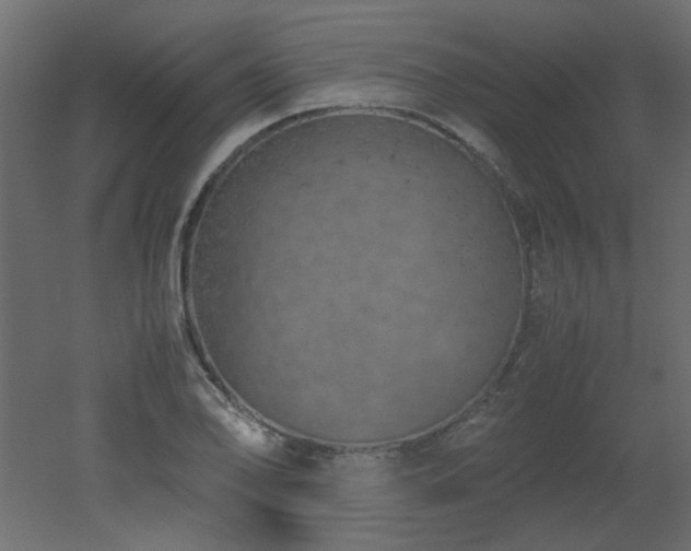 X0000051881078200506241407