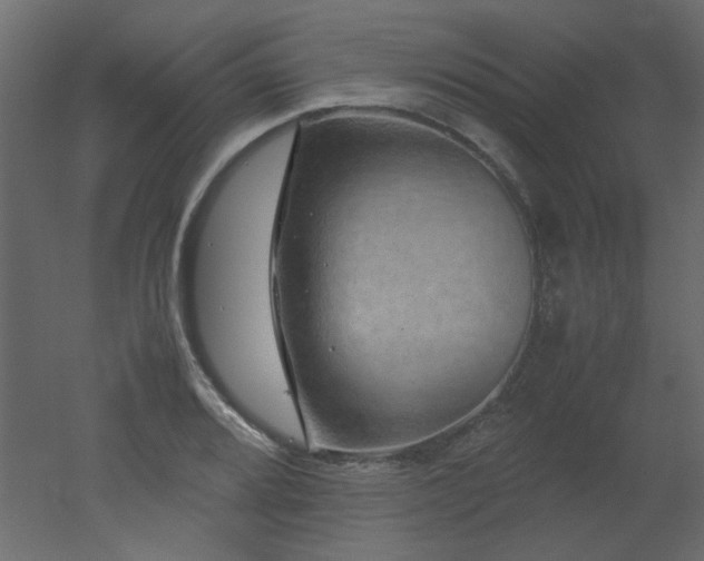 X0000051881080200506241407
