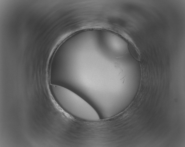 X0000051881088200506241407