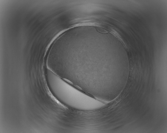 X0000051881092200506241407
