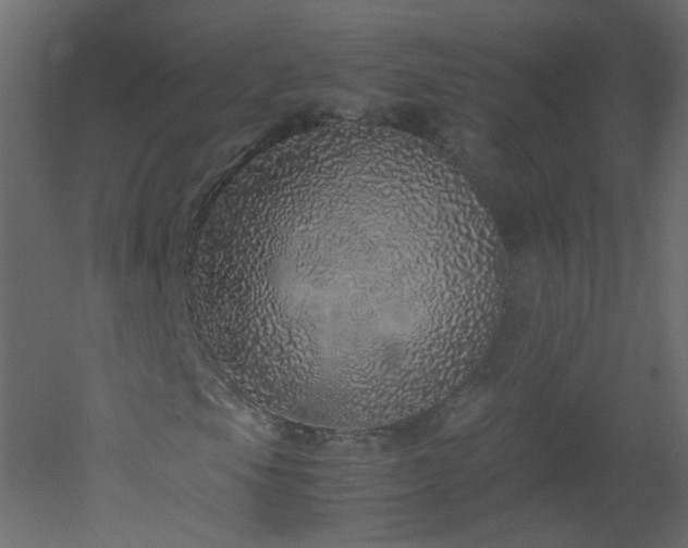 X0000051881105200506241406