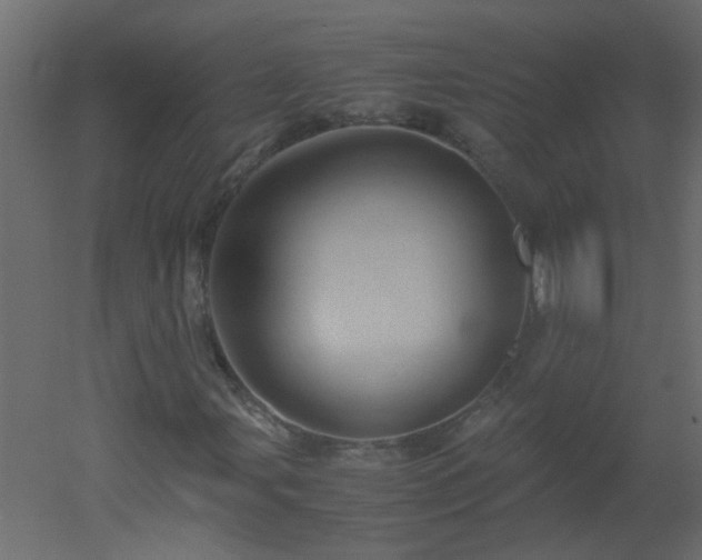 X0000051881107200506241406