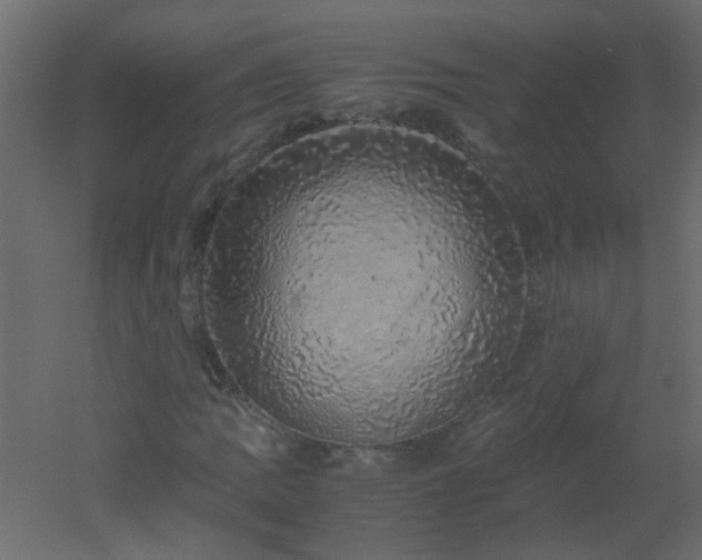 X0000051881109200506241406