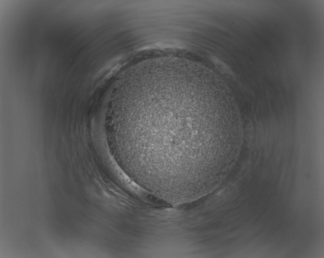 X0000051881110200506241406