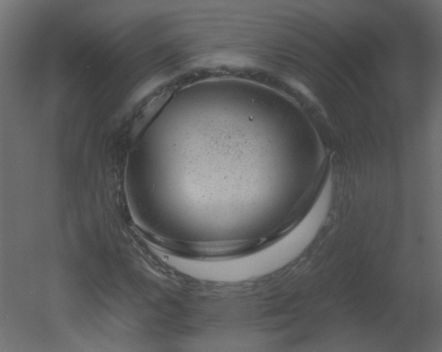 X0000051881112200506241406