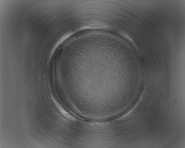 X0000051881114200506241406