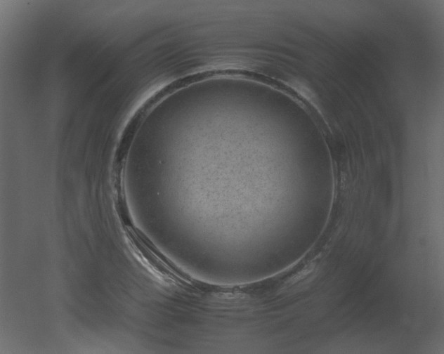 X0000051881119200506241406