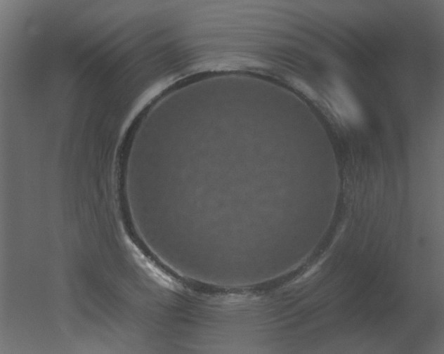 X0000051881122200506241406