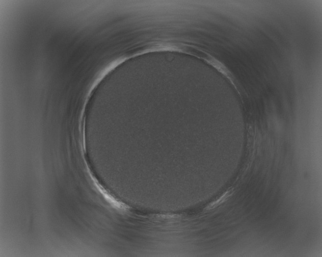 X0000051881127200506241406