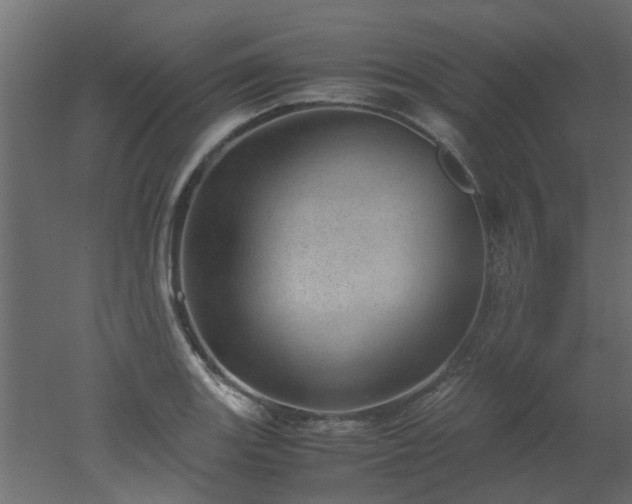 X0000051881131200506241406