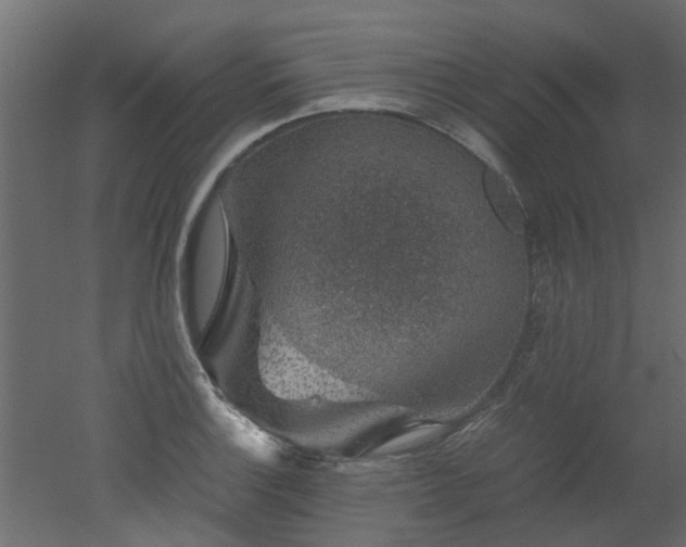 X0000051881132200506241406