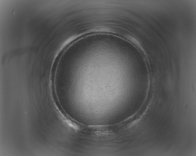 X0000051881133200506241406