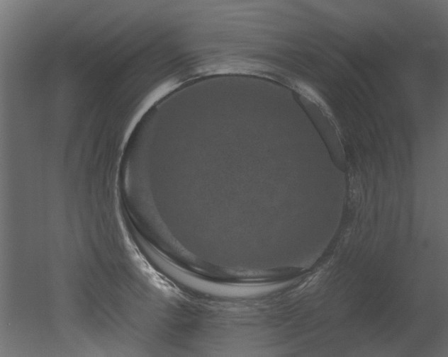 X0000051881138200506241406