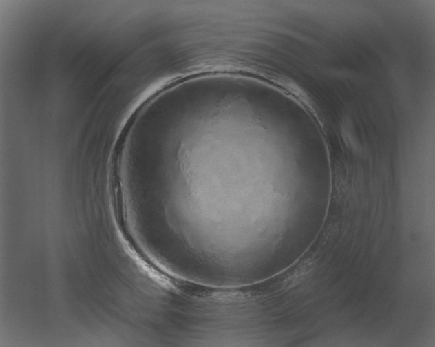 X0000051881142200506241407