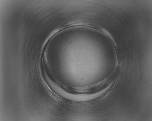 X0000051881146200506241407