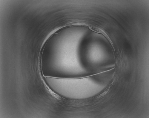 X0000051881149200506241407