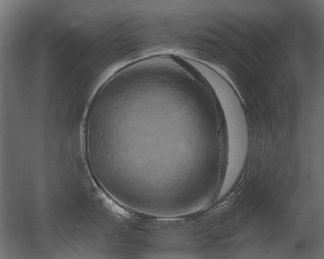 X0000051881151200506241407
