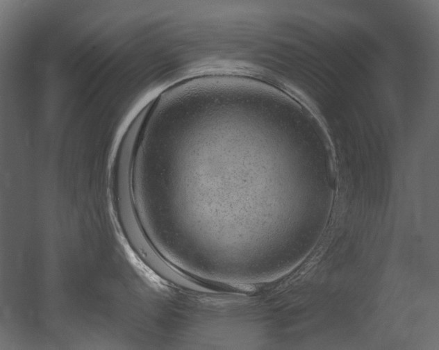 X0000051881152200506241407