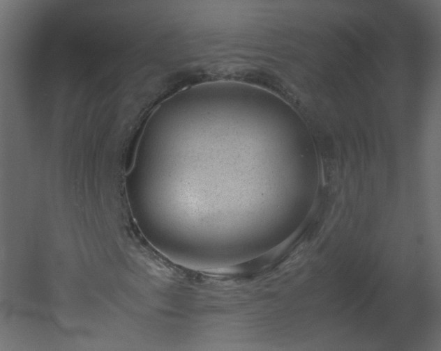 X0000051881153200506241406