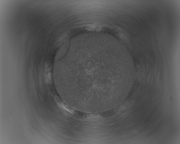 X0000051881154200506241406