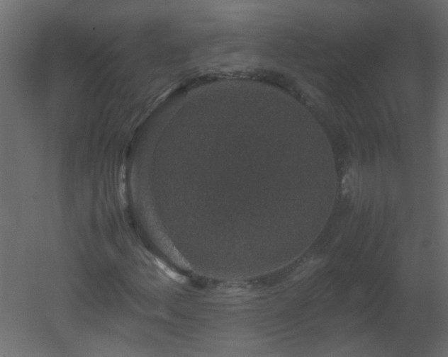 X0000051881156200506241406