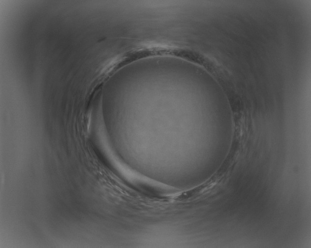 X0000051881157200506241406